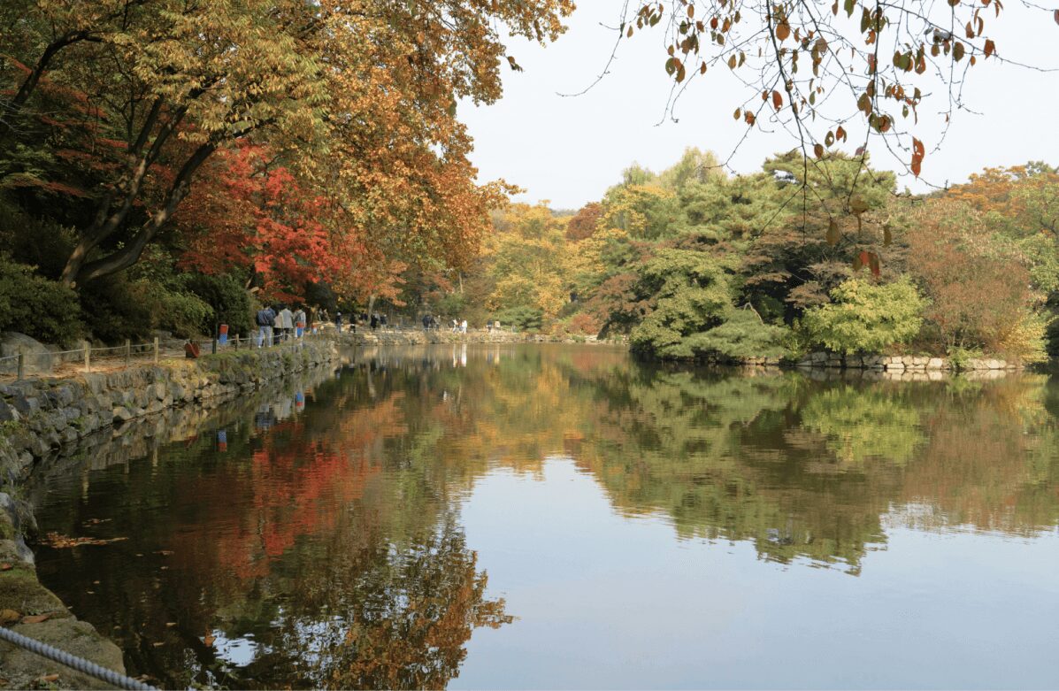 昌慶宮の池に映る美しい紅葉