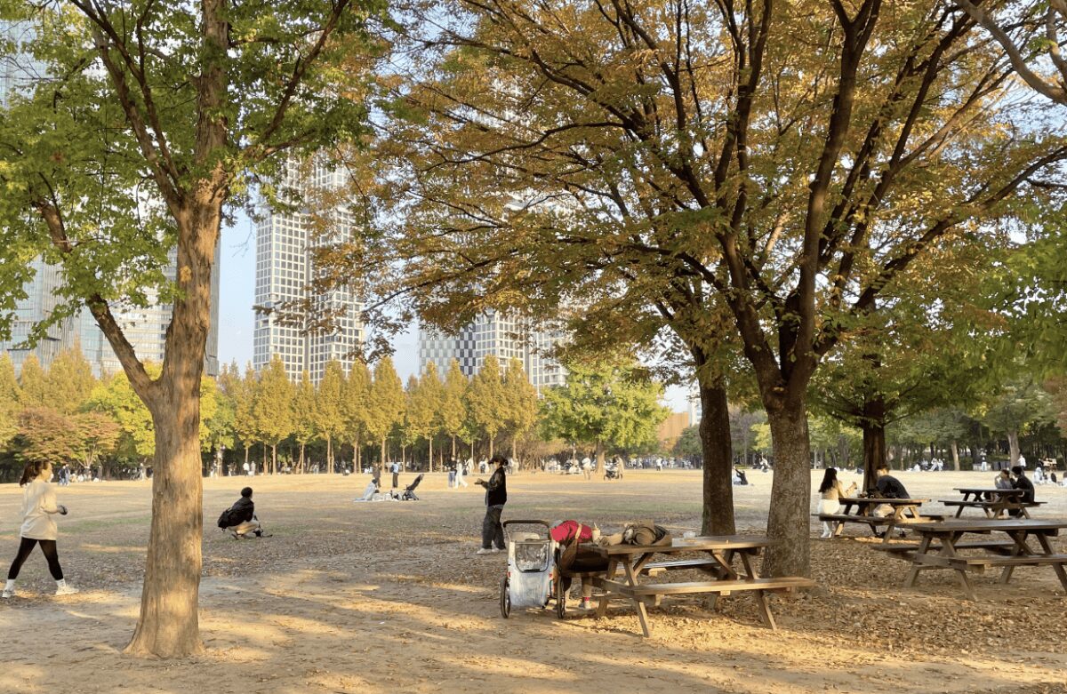 ソウルの森でピクニックを楽しむ人々